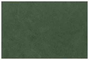 Материал: Легион (Legion), Цвет: Legion_Green