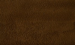 Материал: Полярис (Polaris), Цвет: brown