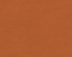 Материал: Панамера (Panamera), Цвет: 10-Orange