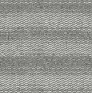 Материал: Петрус (Petrus), Цвет: Dove-903