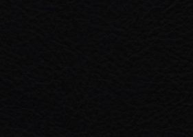 Материал: Рома (Roma), Цвет: Black_407
