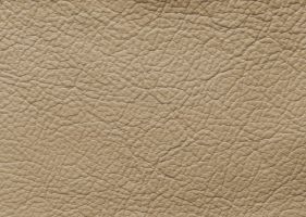 Материал: Мадрас (Madras), Цвет: Crema(2170)_5915