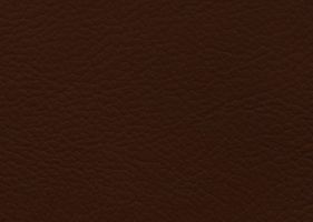 Материал: Венеция (Venecia), Цвет: Cognac-504