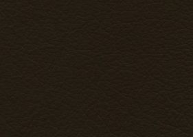 Материал: Венеция (Venecia), Цвет: Miele-505
