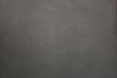 Материал: Перфект (Perfect), Цвет: Grey