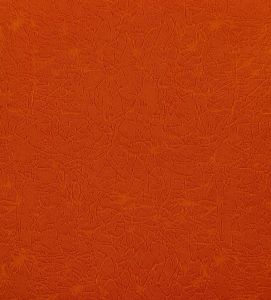Материал: Пленет (Planet), Цвет: 05_Orange