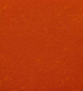 Материал: Пленет (Planet), Цвет: 05_Orange